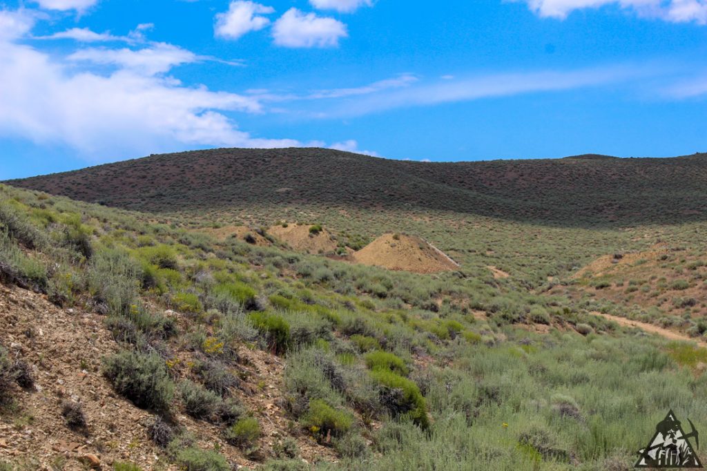 Comstock Extension — photograph 71 of the claim ground, Storey County, Nevada