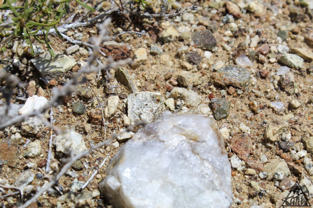 Comstock Extension — photograph 72 of the claim ground, Storey County, Nevada