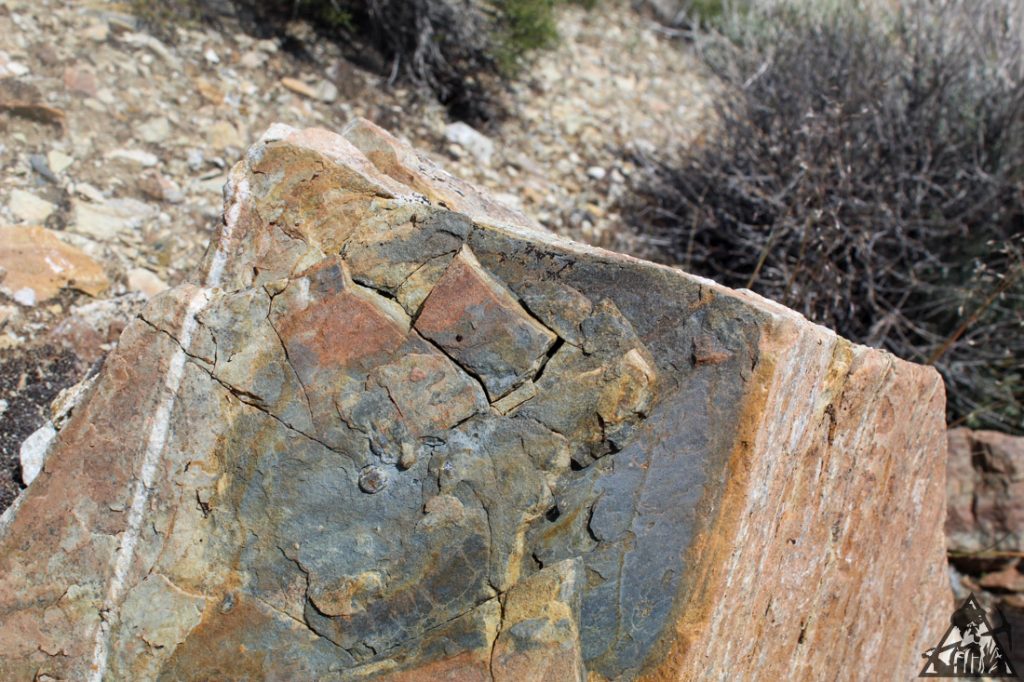 Comstock Extension — photograph 79 of the claim ground, Storey County, Nevada