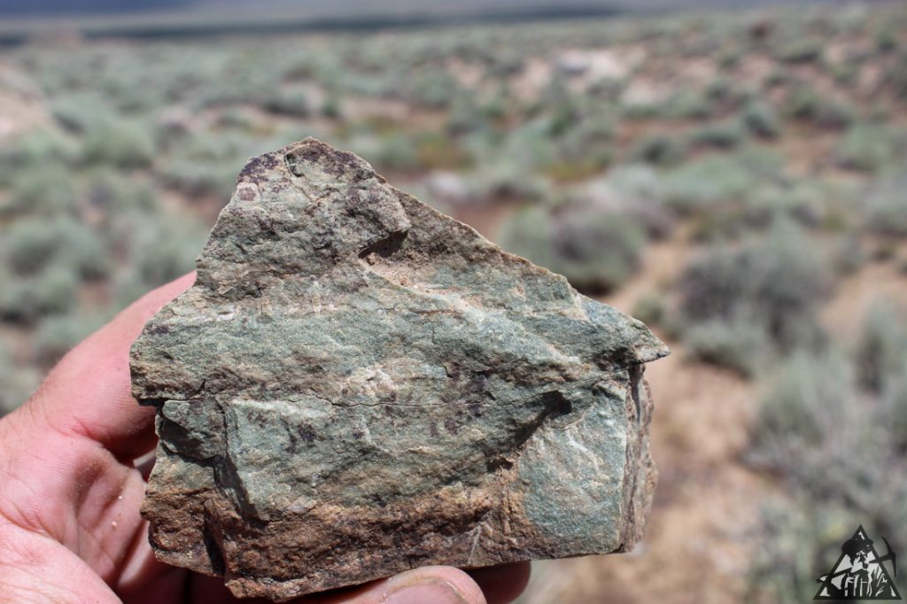 Comstock Extension — photograph 80 of the claim ground, Storey County, Nevada