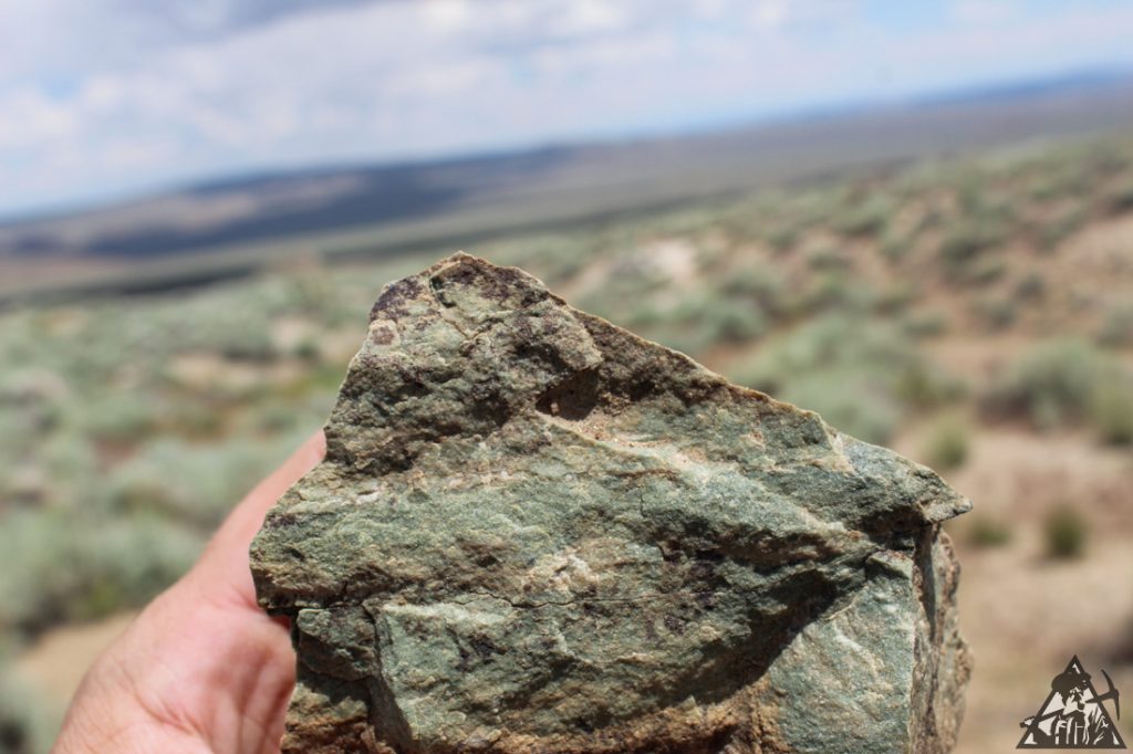 Comstock Extension — photograph 81 of the claim ground, Storey County, Nevada