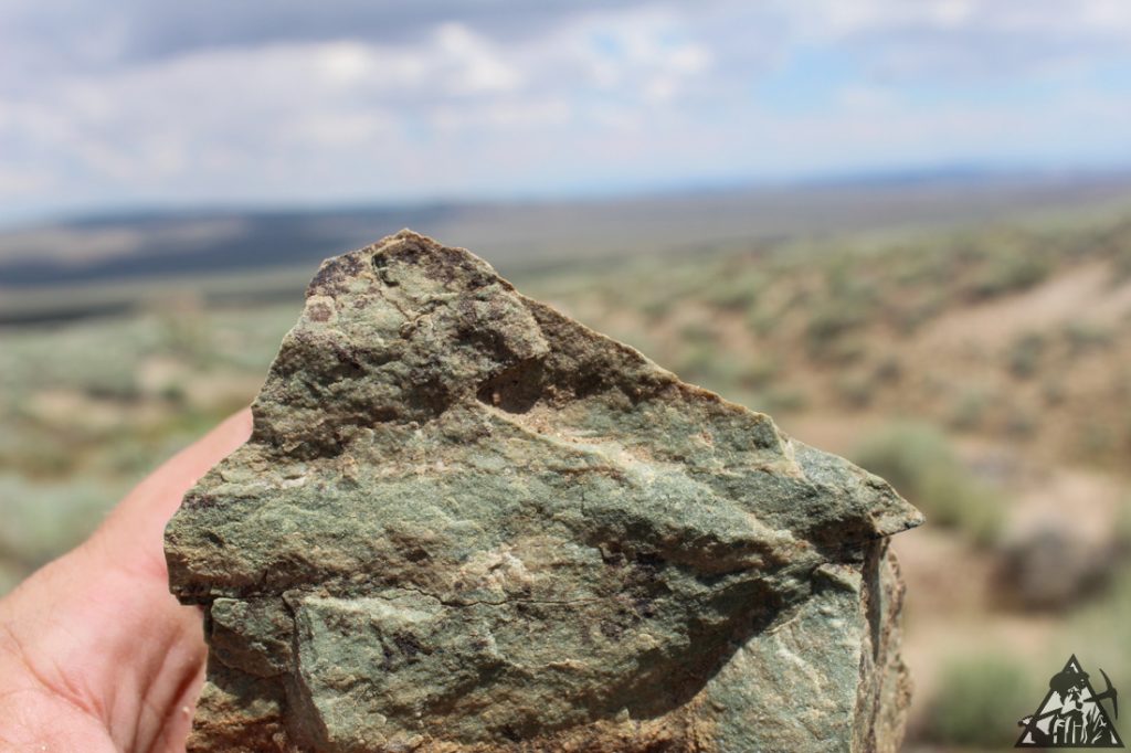 Comstock Extension — photograph 82 of the claim ground, Storey County, Nevada