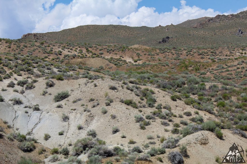Comstock Extension — photograph 118 of the claim ground, Storey County, Nevada