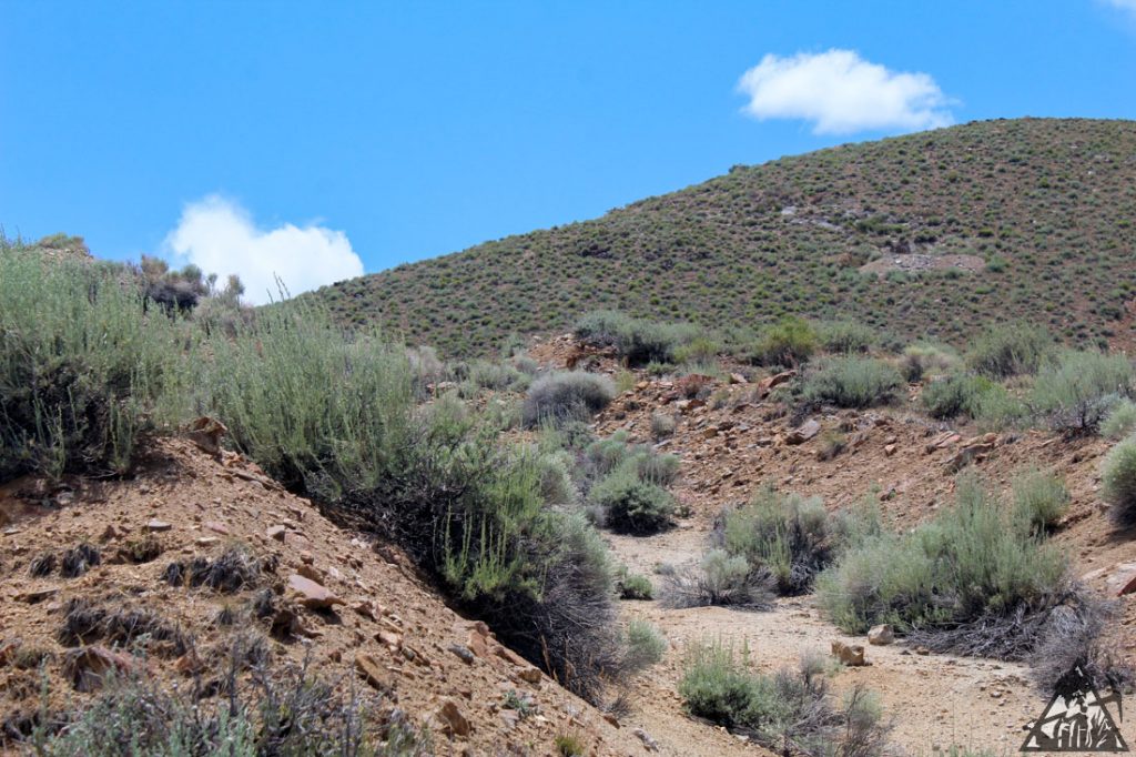 Comstock Extension — photograph 122 of the claim ground, Storey County, Nevada