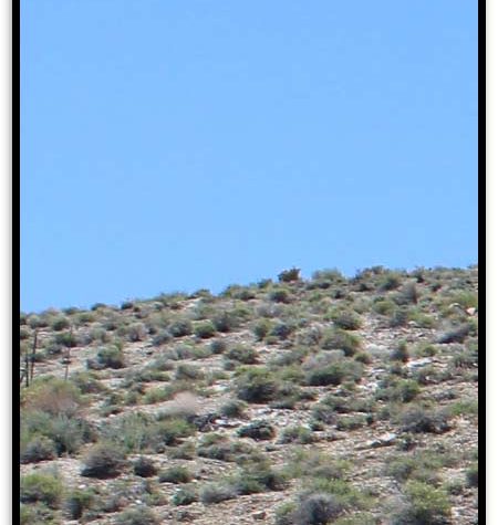 Tungsten One #2 — photograph 2 of the claim ground, Pershing County, Nevada