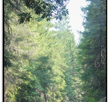 Hidden Gulch — listing card image, Jackson County, Oregon
