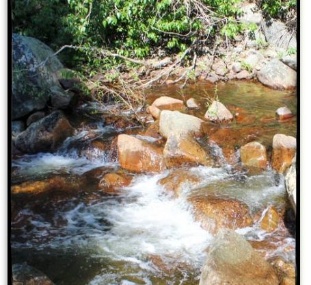 Sierra Gold Placer Mountain — listing card image, Sierra County, Nevada