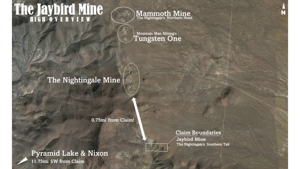 High Moss #91 — aerial overview