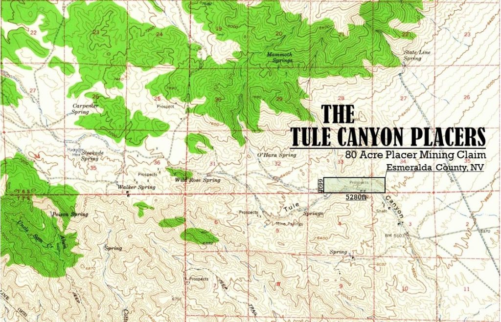 Tule Canyon #2 & #3 — photograph 4 of the claim ground, Esmeralda County, Nevada