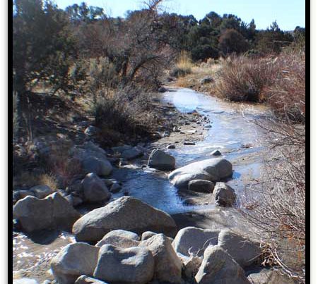 Ancient Headwaters #1 & #3 — photograph 2 of the claim ground, Douglas County, Nevada