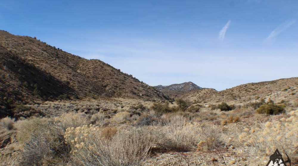 Ancient Headwaters #1 & #3 — photograph 5 of the claim ground, Douglas County, Nevada