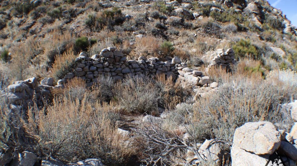 Ancient Headwaters #1 & #3 — photograph 11 of the claim ground, Douglas County, Nevada