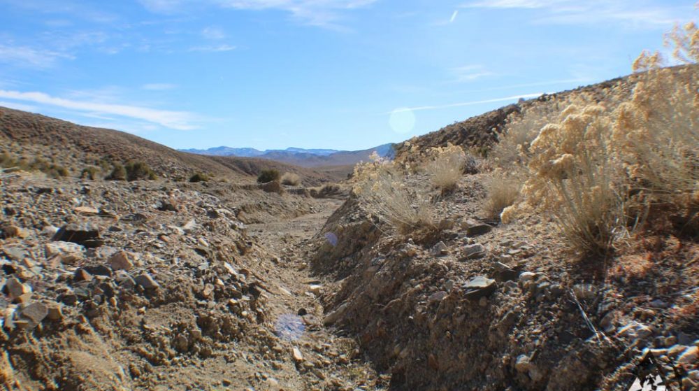 Ancient Headwaters #1 & #3 — photograph 17 of the claim ground, Douglas County, Nevada