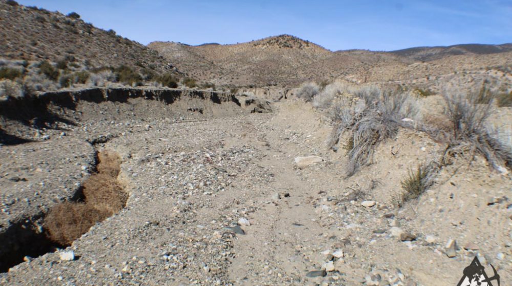 Ancient Headwaters #1 & #3 — photograph 20 of the claim ground, Douglas County, Nevada