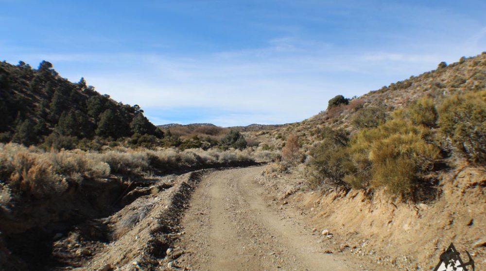 Ancient Headwaters #1 & #3 — photograph 27 of the claim ground, Douglas County, Nevada