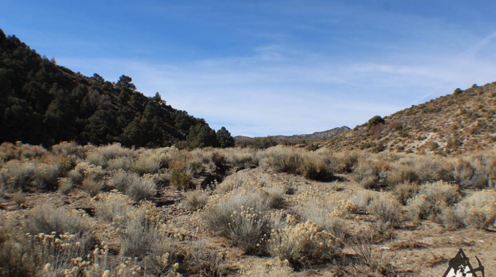 Ancient Headwaters #1 & #3 — photograph 29 of the claim ground, Douglas County, Nevada