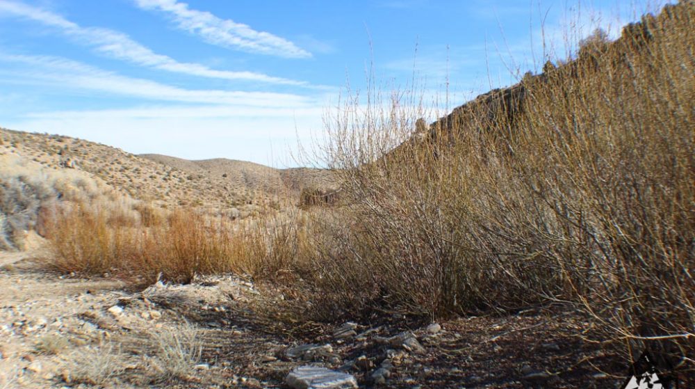 Ancient Headwaters #1 & #3 — photograph 30 of the claim ground, Douglas County, Nevada