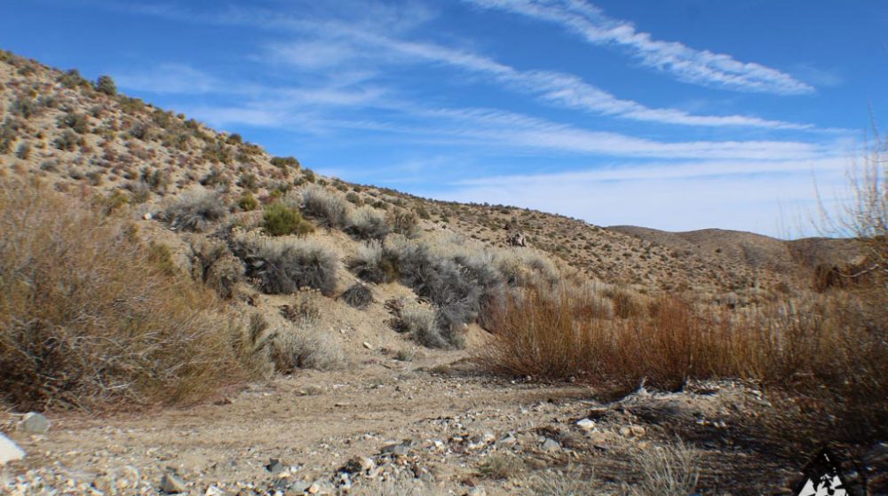 Ancient Headwaters #1 & #3 — photograph 31 of the claim ground, Douglas County, Nevada