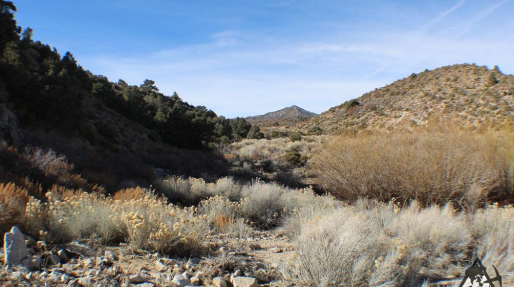 Ancient Headwaters #1 & #3 — photograph 34 of the claim ground, Douglas County, Nevada