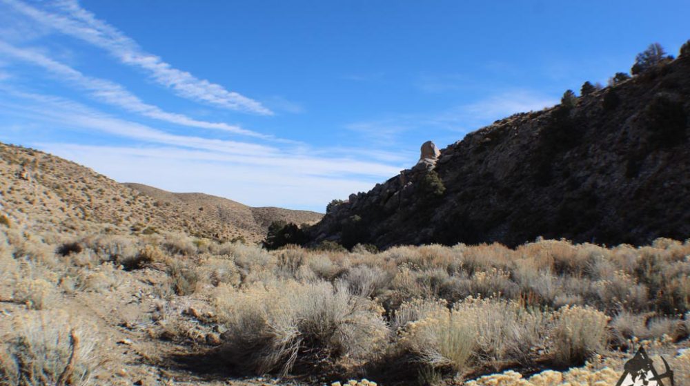Ancient Headwaters #1 & #3 — photograph 35 of the claim ground, Douglas County, Nevada