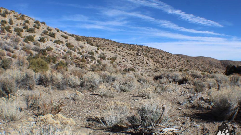 Ancient Headwaters #1 & #3 — photograph 36 of the claim ground, Douglas County, Nevada