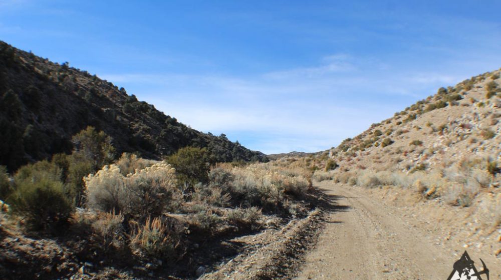 Ancient Headwaters #1 & #3 — photograph 38 of the claim ground, Douglas County, Nevada