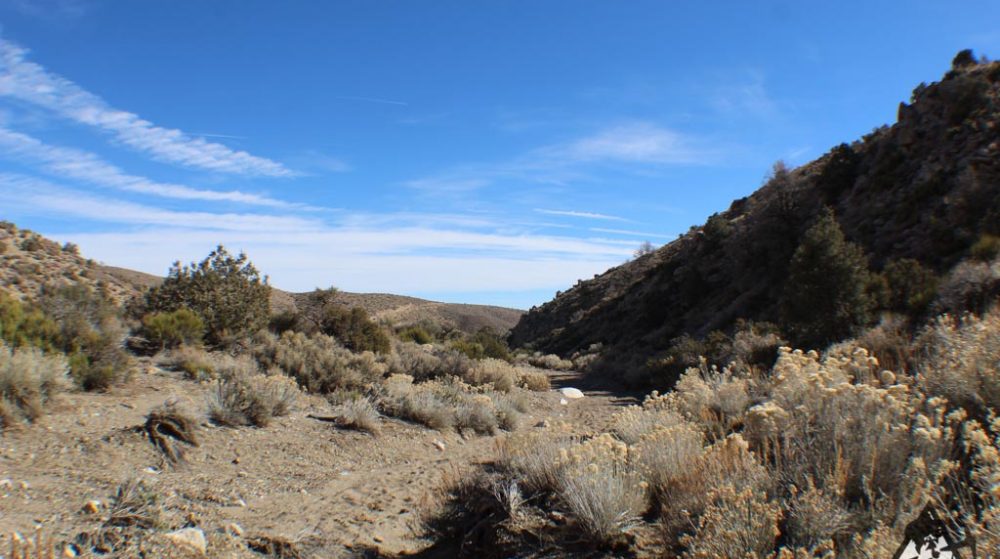 Ancient Headwaters #1 & #3 — photograph 39 of the claim ground, Douglas County, Nevada