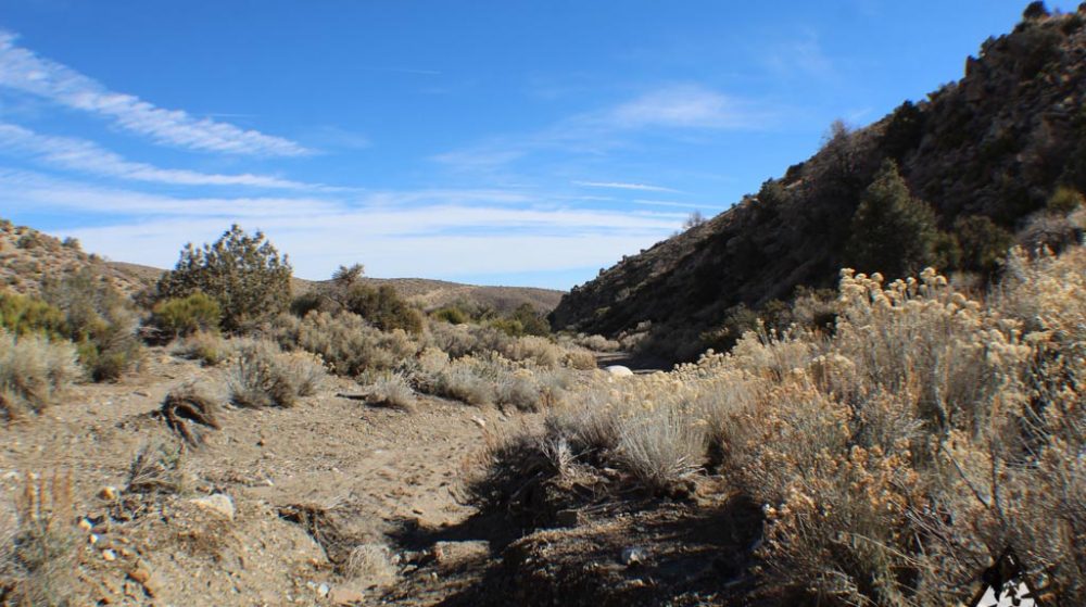 Ancient Headwaters #1 & #3 — photograph 40 of the claim ground, Douglas County, Nevada