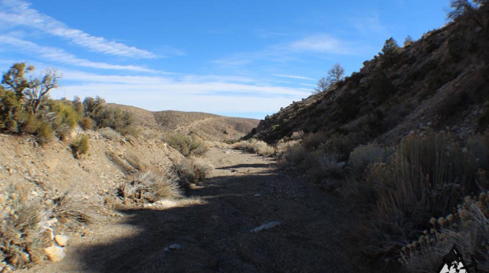 Ancient Headwaters #1 & #3 — photograph 41 of the claim ground, Douglas County, Nevada