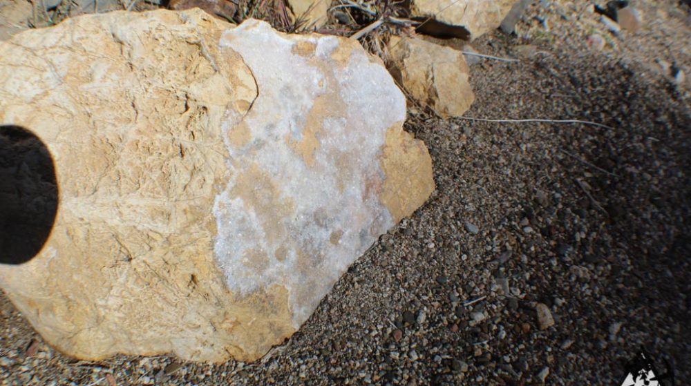 Ancient Headwaters #1 & #3 — photograph 42 of the claim ground, Douglas County, Nevada
