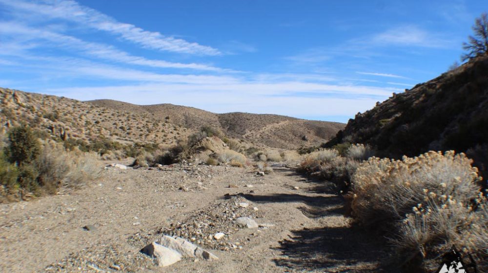 Ancient Headwaters #1 & #3 — photograph 43 of the claim ground, Douglas County, Nevada
