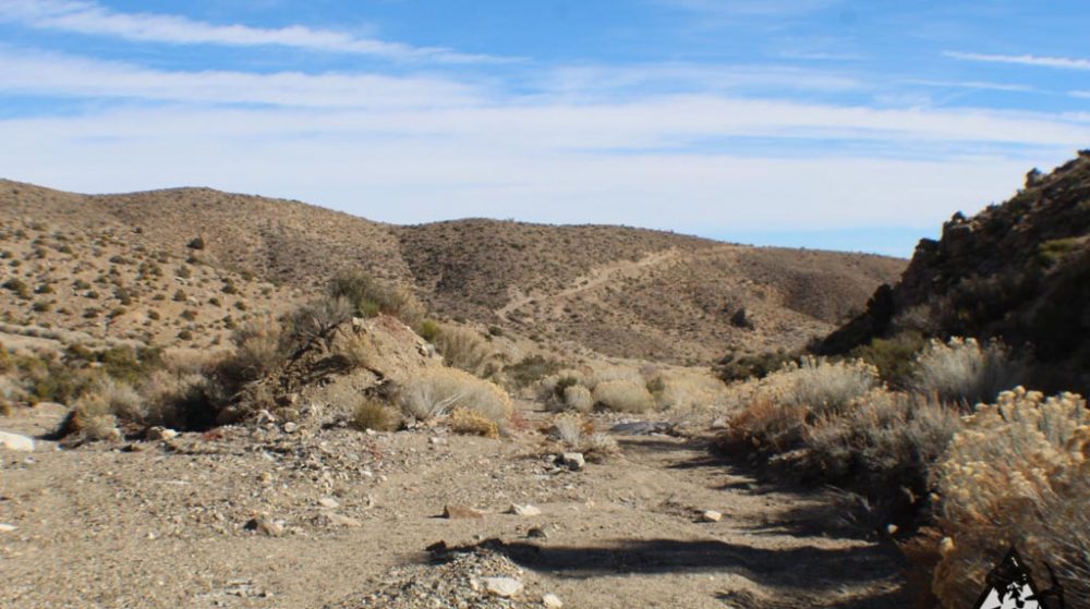 Ancient Headwaters #1 & #3 — photograph 44 of the claim ground, Douglas County, Nevada