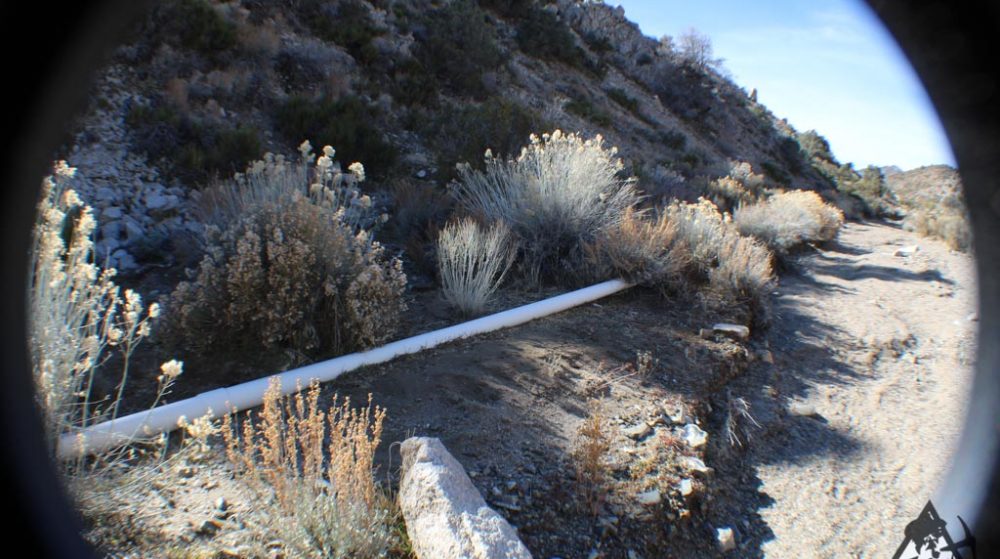 Ancient Headwaters #1 & #3 — photograph 45 of the claim ground, Douglas County, Nevada