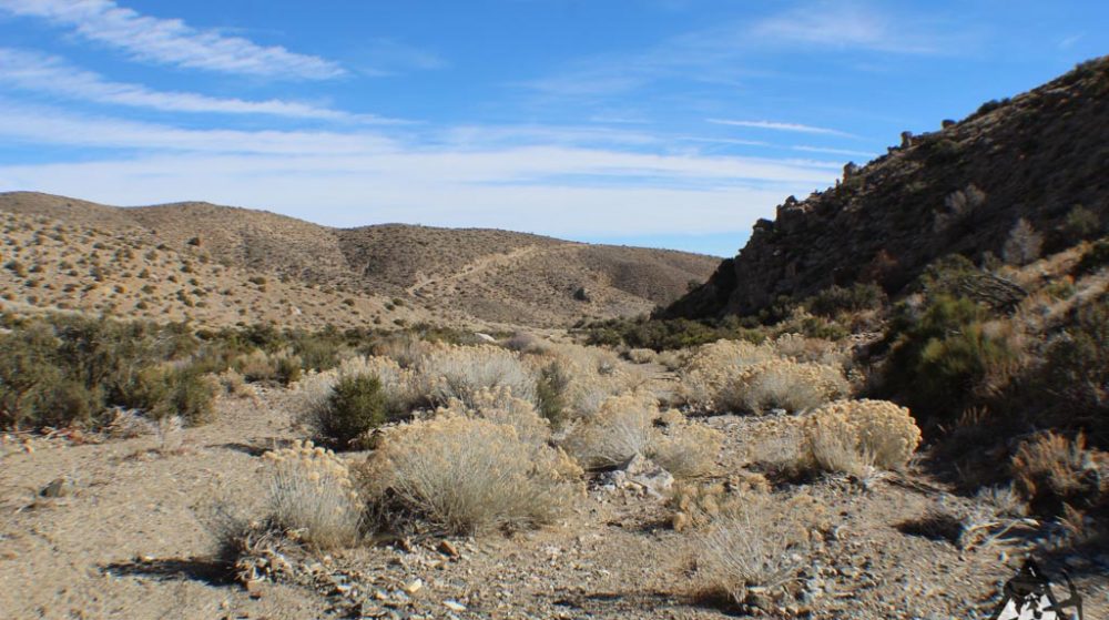 Ancient Headwaters #1 & #3 — photograph 47 of the claim ground, Douglas County, Nevada