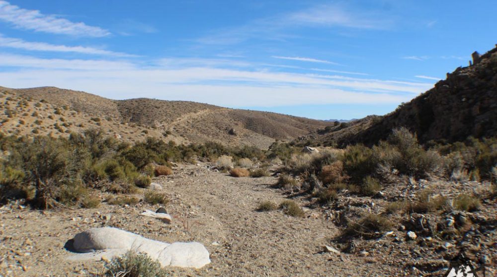Ancient Headwaters #1 & #3 — photograph 48 of the claim ground, Douglas County, Nevada