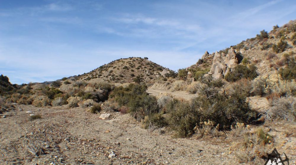 Ancient Headwaters #1 & #3 — photograph 50 of the claim ground, Douglas County, Nevada
