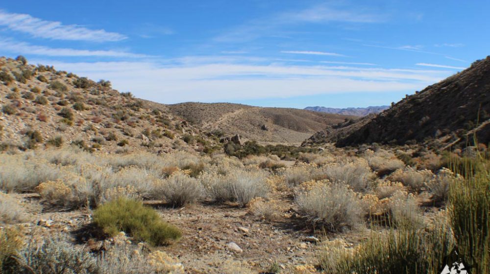 Ancient Headwaters #1 & #3 — photograph 53 of the claim ground, Douglas County, Nevada