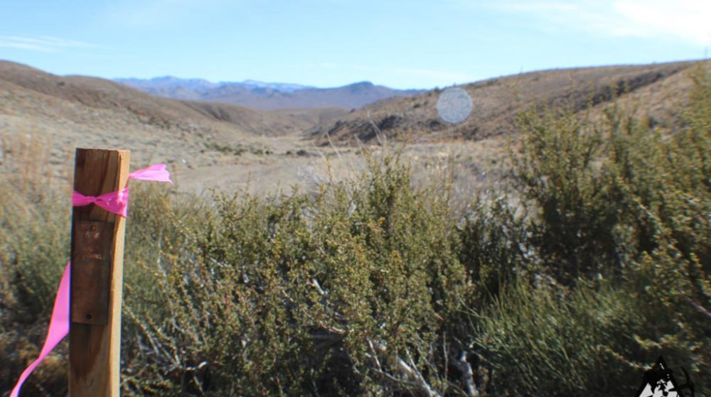 Ancient Headwaters #1 & #3 — photograph 58 of the claim ground, Douglas County, Nevada
