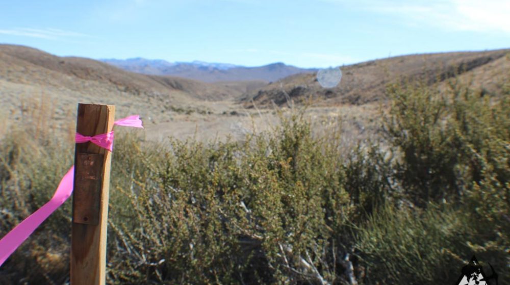Ancient Headwaters #1 & #3 — photograph 59 of the claim ground, Douglas County, Nevada