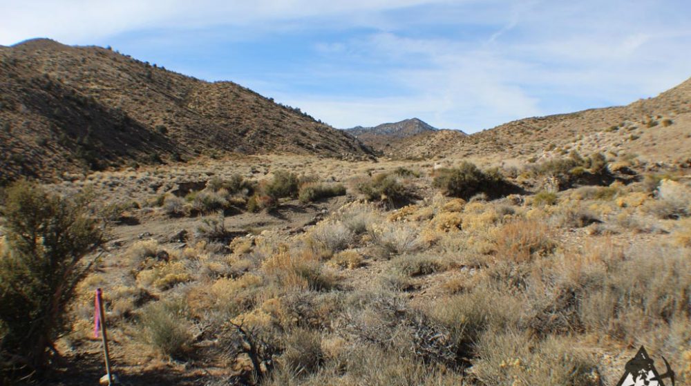 Ancient Headwaters #1 & #3 — photograph 60 of the claim ground, Douglas County, Nevada