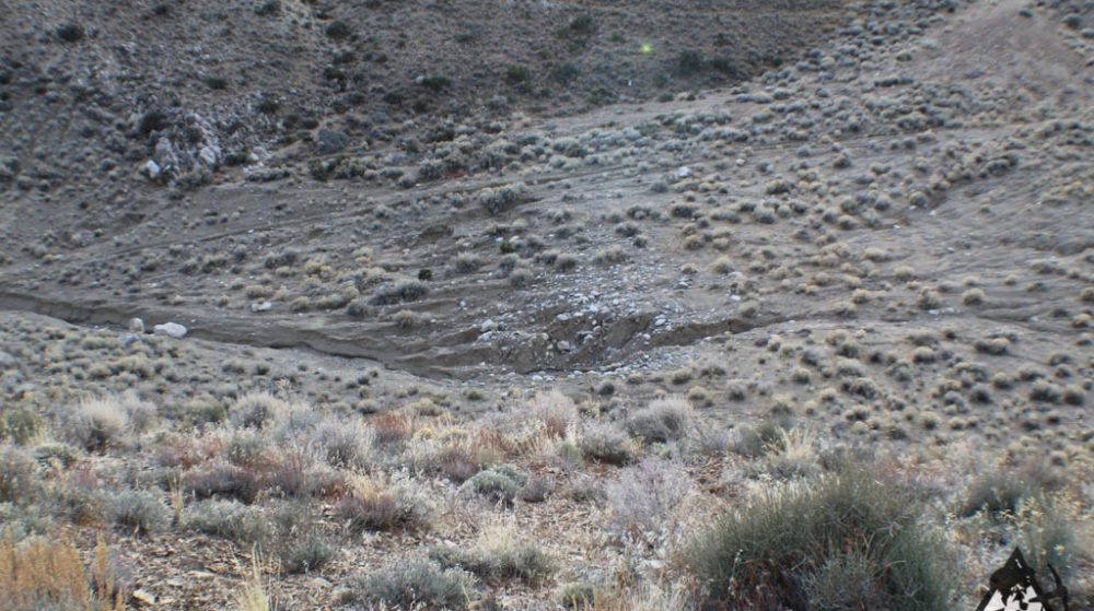 Ancient Headwaters #1 & #3 — photograph 61 of the claim ground, Douglas County, Nevada