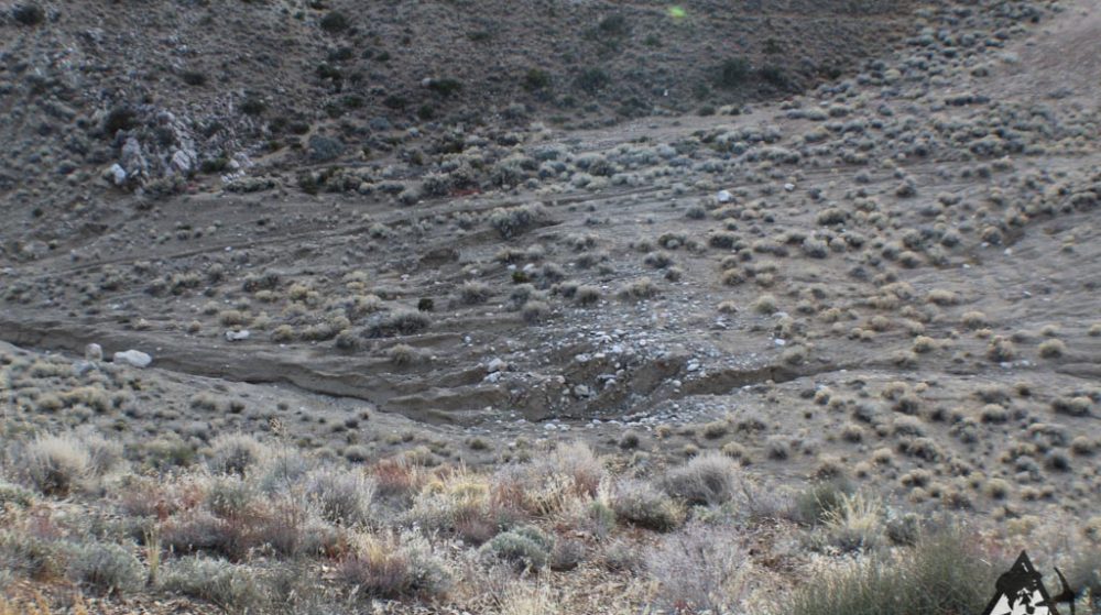 Ancient Headwaters #1 & #3 — photograph 65 of the claim ground, Douglas County, Nevada