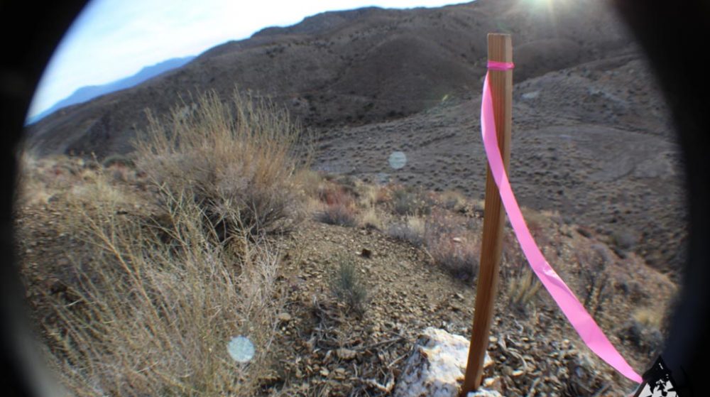 Ancient Headwaters #1 & #3 — photograph 70 of the claim ground, Douglas County, Nevada