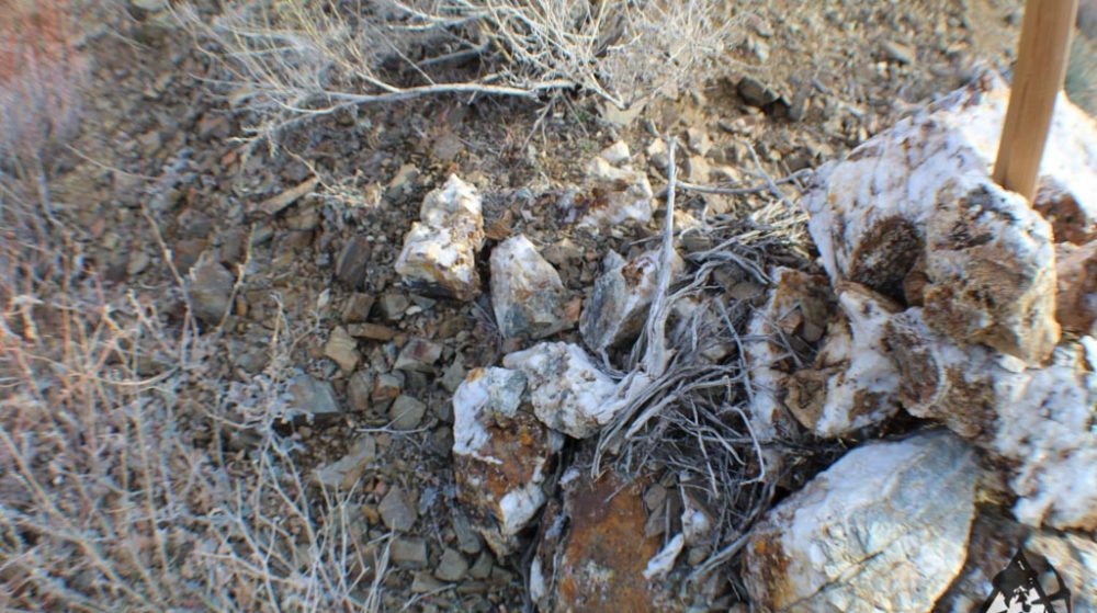 Ancient Headwaters #1 & #3 — photograph 73 of the claim ground, Douglas County, Nevada