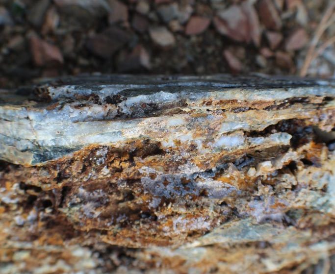 Ancient Headwaters #1 & #3 — photograph 77 of the claim ground, Douglas County, Nevada