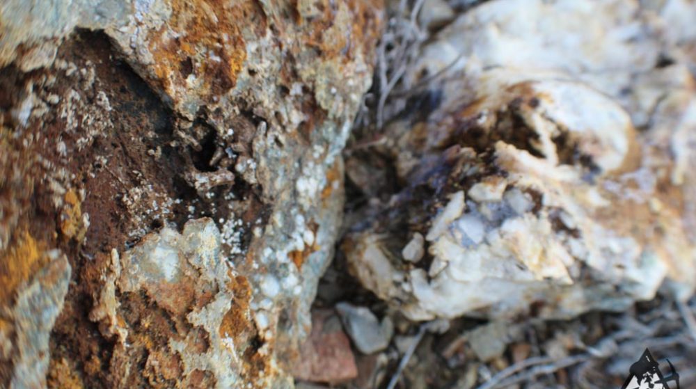 Ancient Headwaters #1 & #3 — photograph 79 of the claim ground, Douglas County, Nevada
