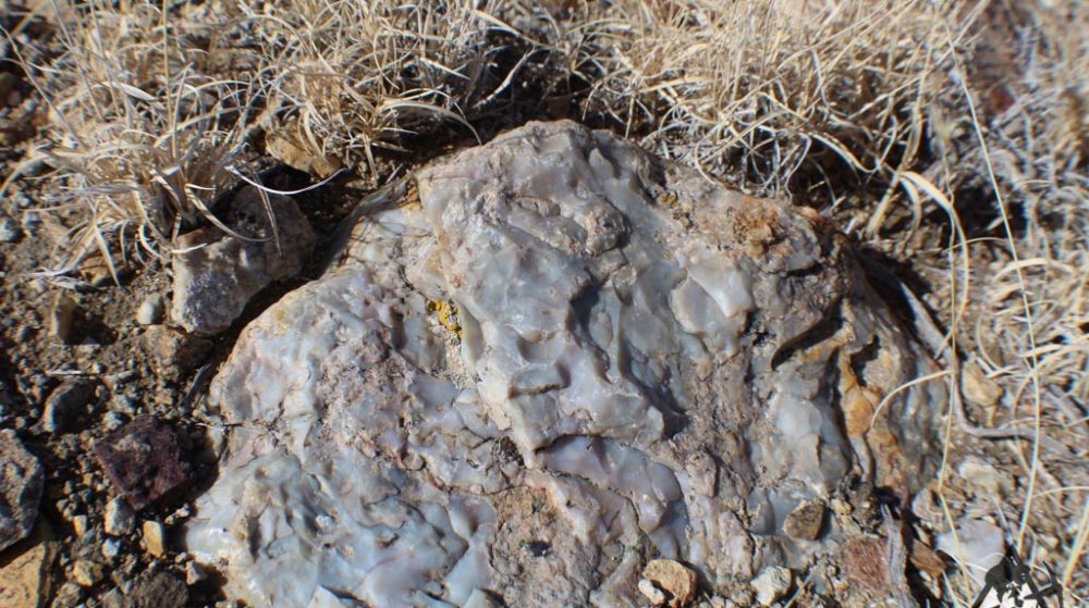 Ancient Headwaters #1 & #3 — photograph 90 of the claim ground, Douglas County, Nevada