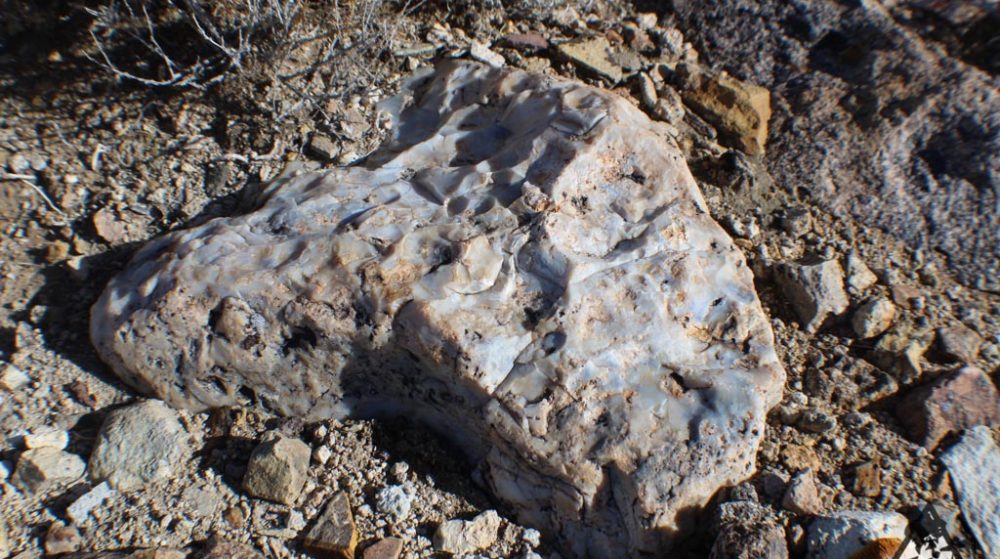 Ancient Headwaters #1 & #3 — photograph 92 of the claim ground, Douglas County, Nevada