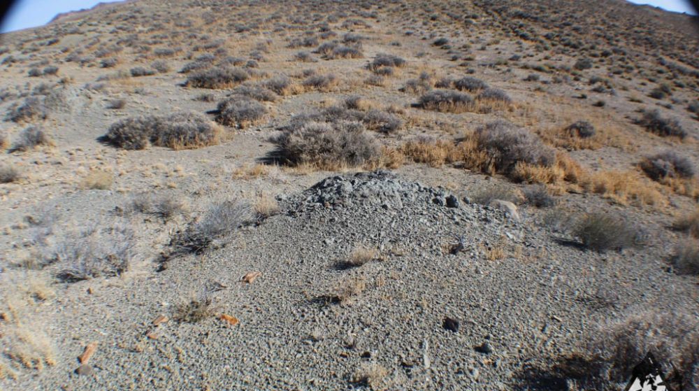 Ancient Headwaters #1 & #3 — photograph 98 of the claim ground, Douglas County, Nevada