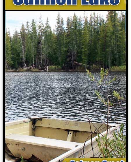 Salmon Lake — photograph 2 of the claim ground, Sierra County, California